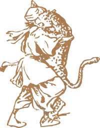 walk man panther 