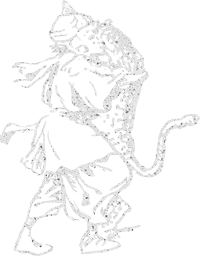 walk man panther 