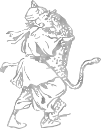 walk man panther 
