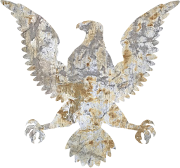 bird symbol american usa bald eagle national 