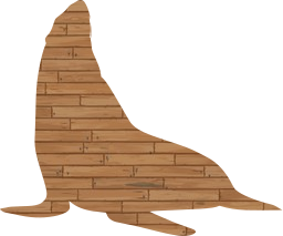 tail raised seal head whiskers 