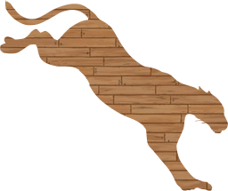 mammal animal tail mountain danger dangerous lion cougar 