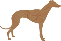 hound mammal animal dog breed pet fur grey 