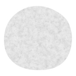fruit orange citrus 