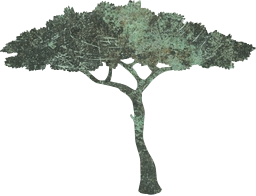 tree plant organic trunk leaves branches agriculture growth nature graphic 
