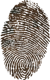 biometric impression security identity flag fingerprinted id asian government personal passport symbolic individuality investigation sign nation culture finger immigrant country national fingermark ink symbol pride citizen emblem fingerprint citizenship heritage print sovereign asia patriotism immigration identification travel privacy patriotic 
