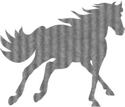 stallion animal horse 