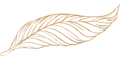 geese wild fauna pen poultry goose nature animal beak pigeons feathers birds freedom fly animals dove bird peacock beautiful feather wings beast duck to outline flight write flying 