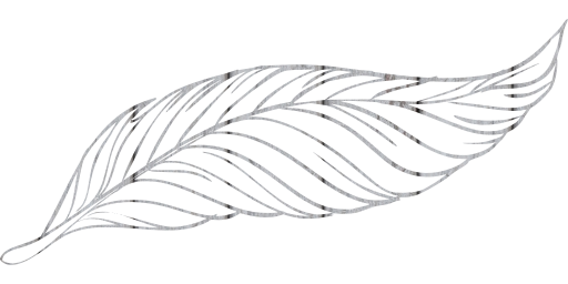geese wild fauna pen poultry goose nature animal beak pigeons feathers birds freedom fly animals dove bird peacock beautiful feather wings beast duck to outline flight write flying 