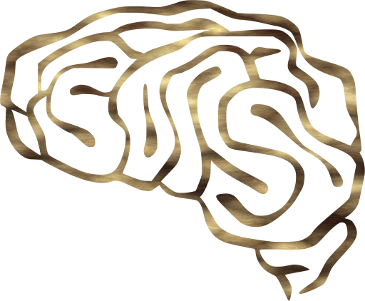 internal memory neuron intelligence human psychology neurology organ nervous mind head anatomy brain synapse mental physiology nerve think 