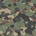 Camouflage Fabric 002